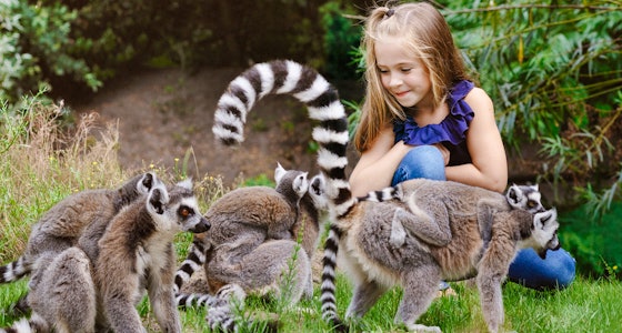 Ticket voor ZooParc Overloon!